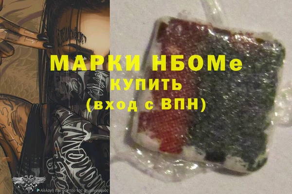 прущие грибы Армянск