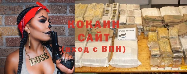прущие грибы Армянск