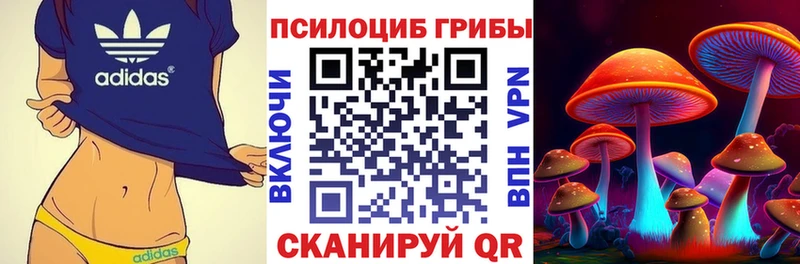купить закладку  Ирбит  Псилоцибиновые грибы прущие грибы 