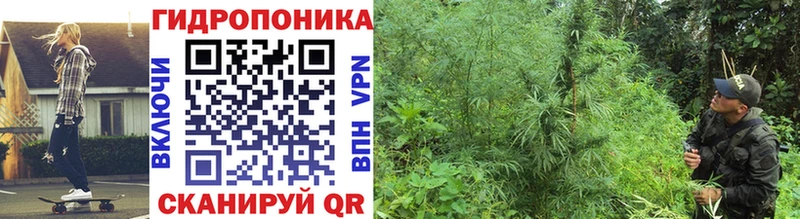 Шишки марихуана VHQ Ирбит
